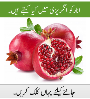 Pomegranate