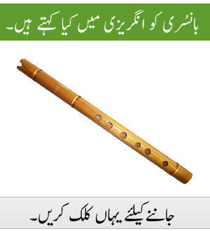 Flute