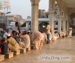 ablution Urdu Meaning