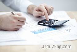 accountant Urdu Meaning