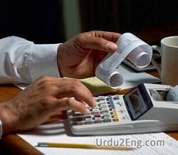 accountant Urdu Meaning