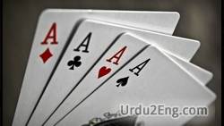 ace Urdu Meaning