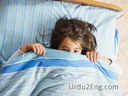 afraid Urdu Meaning