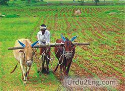 agriculture Urdu Meaning
