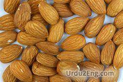 almond Urdu Meaning