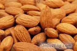 almond Urdu Meaning