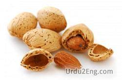 almond Urdu Meaning