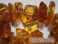 amber Urdu Meaning