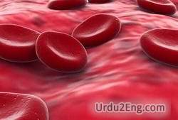 anaemia Urdu Meaning