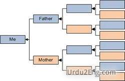ancestry Urdu Meaning