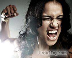 angry Urdu Meaning