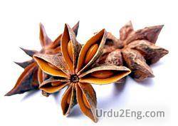 anise Urdu Meaning