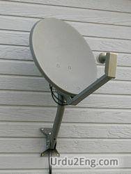 antenna Urdu Meaning