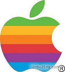 apple Urdu Meaning