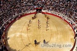 arena Urdu Meaning