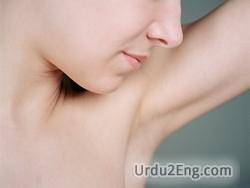 armpit Urdu Meaning