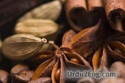 aromatic Urdu Meaning