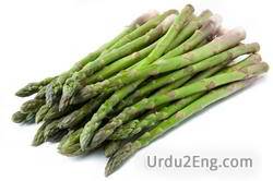 asparagus Urdu Meaning