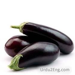 aubergine Urdu Meaning