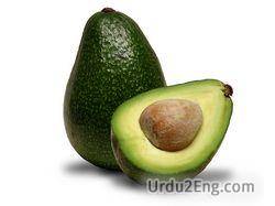 avocado Urdu Meaning