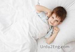 awake Urdu Meaning