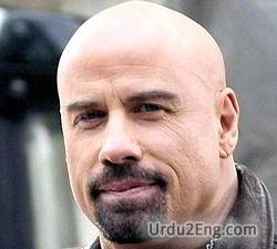 bald Urdu Meaning