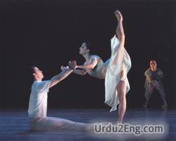 trofast regulere pludselig ballerina Urdu Meanings