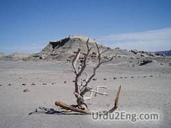 barren Urdu Meaning