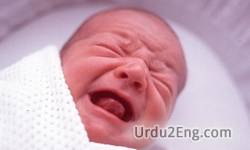 bawl Urdu Meaning