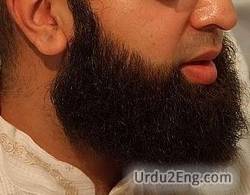 beard Urdu Meaning