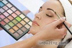 beautician Urdu Meaning