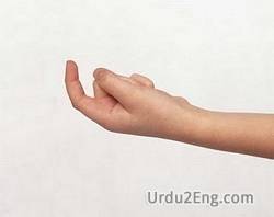 beckon Urdu Meaning