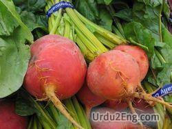 beet Urdu Meaning