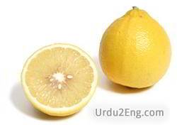 bergamot Urdu Meaning