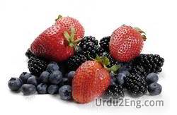 berry Urdu Meaning