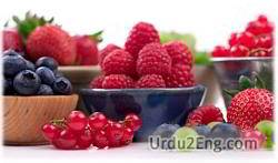 berry Urdu Meaning
