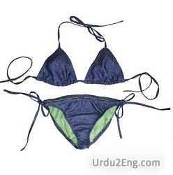 bikini Urdu Meaning
