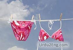 bikini Urdu Meaning