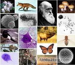 biology Urdu Meaning