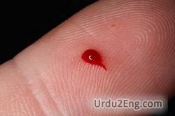 clotting of blood meaning in urdu
