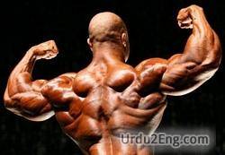 bodybuilder Urdu Meaning