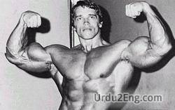 bodybuilder Urdu Meaning