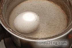 boil Urdu Meaning