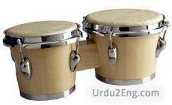 bongo Urdu Meaning