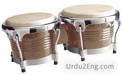 bongo Urdu Meaning