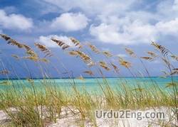 breeze Urdu Meaning