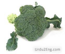 broccoli Urdu Meaning