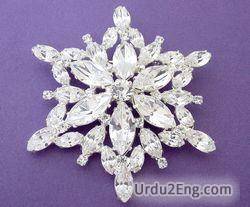 brooch Urdu Meaning