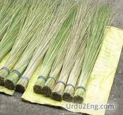 broom Urdu Meaning