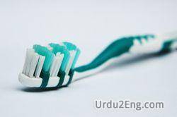 brush Urdu Meaning